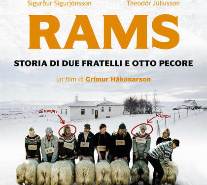 Rams, storia di due fratelli e otto pecore