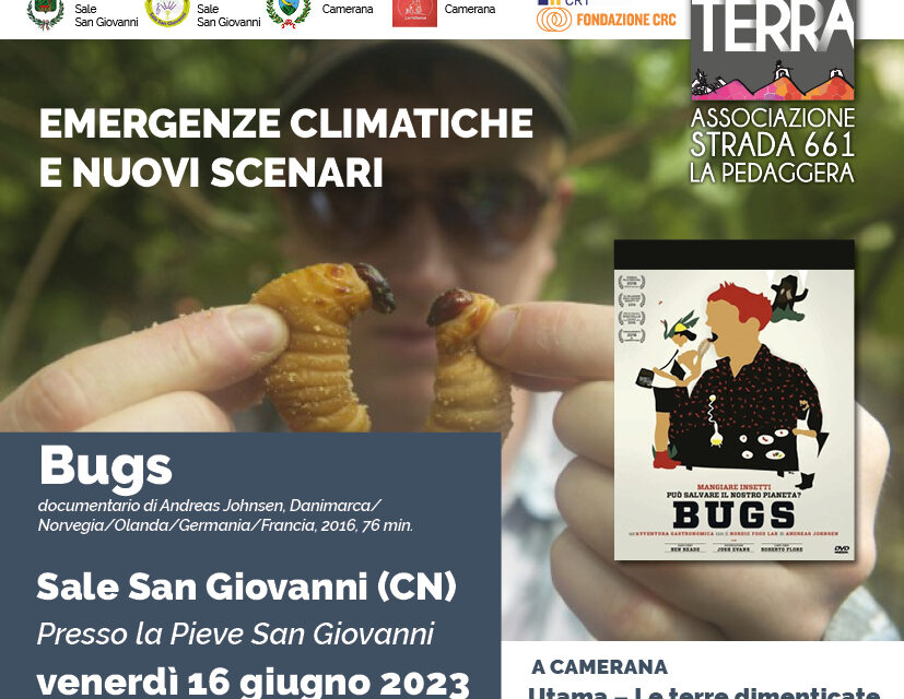 Bugs – Sale San Giovanni